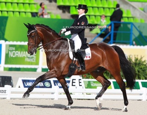 Belinda Trussell and Anton at the 2014 World Equestrian Games in Caen :: Photo © Astrid Appels