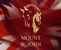 Banner Mount St John
