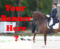 Banner - Banner Here