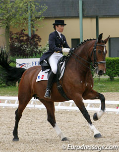 Lianca needed much training in the canter to get the gait up to par