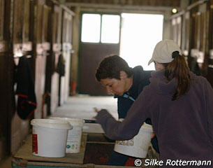 Monica feeding the horses