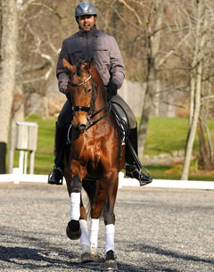 Dave Thind on a Rousseau mare