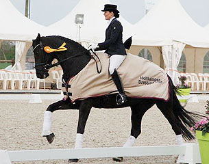Carola Koppelmann on Lady Loxley M