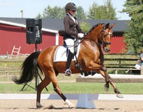 Steendieks Spiderman