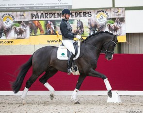 Joyce Lenaerts and Firestone in 2013 :: Photo © Digishots