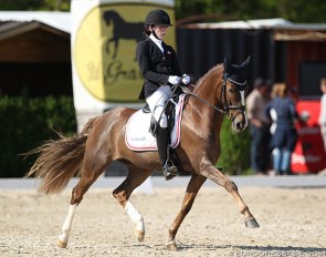 AJ Don't You Forget About Me at the 2019 CDI Sint-Truiden :: Photo © Astrid Appels