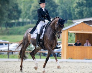 Aurea (by Alabaster x Wolkentanz)