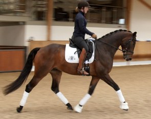 Joshua (by Zardando x Lector)