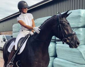 Ayo Windberg (by Apache x Florencio)