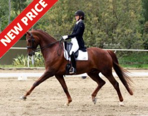 Gatsby (by Sir Donnerhall x Jazz)