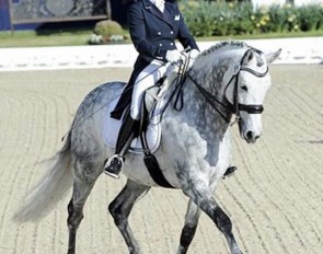 Grand Prix schoolmaster Ruby Star
