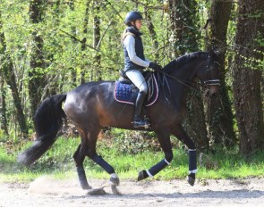 Ultra Diwa (by Sandreo x Domino)