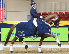 Nikolas Kröncke and Flanell win the 2023 British Dressage Middle Tour Championships in Grantham last October :: Photo © Kevin Sparrow