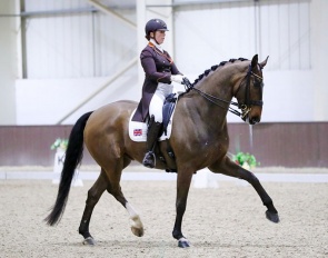 Becky Moody and Jagerbomb at the 2024 CDI Addington :: Photo © Spidge Photography