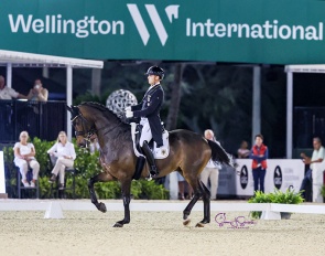 Frederic Wandres and Bluetooth in the 2024 CDI 5* Grand Prix in Wellington :: Photo © Sue Stickle