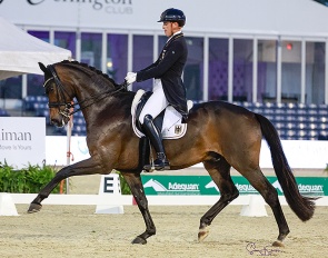 Frederic Wandres and Bluetooth at the 2024 CDI 5* Wellington :: Photo © Sue Stickle