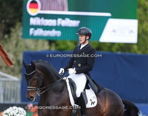 Niklaas Feilzer on Falihandro in the Louisdor Cup warm-up round on Friday at the 2024 CDI Hagen :: Photo © Astrid Appels