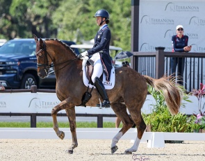 Adrienne Lyle and Helix in the Grand Prix at the 2024 CDI Myakka City :: Photo © Sue Stickle