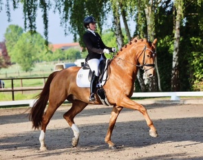 5-YO Runners-up Jennifer Stein and Enrico de Hus at the 2024 Okeler Dressage Days :: Photo © private