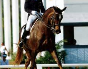 Robert Dover and Everest at the 2000 Palm Beach Dressage Derby :: Photo © Mary Phelps