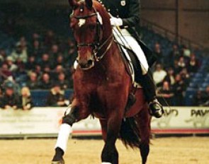 Courtney King presents Idocus at the 2001 KWPN Stallion Licensing :: Photo © Dirk Caremans