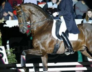 Tineke Bartels and Jazz in a show at the 2002 KWPN Stallion Licensing :: Photo © Dirk Caremans