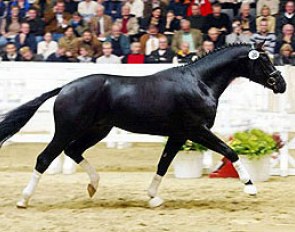 His Highness at the 2002 Hanoverian Stallion Licensing