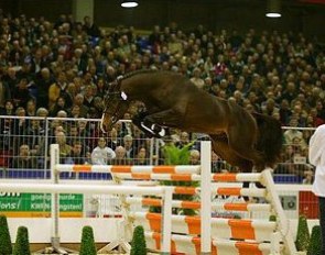 Ustinov, 2004 KWPN Show jumping licensing champion :: Photo © Dirk Caremans