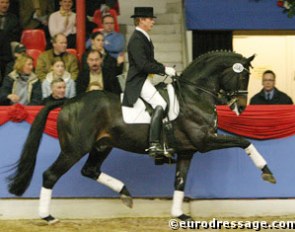 Dieter Wiechert on Rubin Royal at the 2004 Vechta Stallion Show :: Photo © Astrid Appels