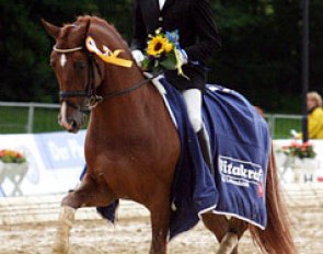 Remy Bastings and Scandic win the consolation finals at the 2004 World Young Horse Championships :: Photo © Astrid Appels