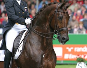 Kirsten Beckers on the KWPN licensed stallion Jazz at the 2005 Dutch Championships :: Photo © Astrid Appels