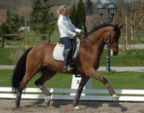 Lisa Wilcox schooling a horse in Switzerland