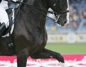 Douglas Dorsey at the 2006 World Equestrian Games :: Photo © Astrid Appels