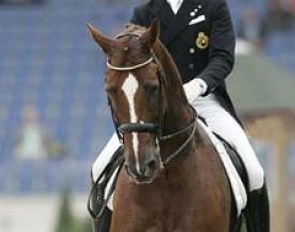 Carl Cuypers and Barclay II at the 2006 World Equestrian Games in Aachen :: Photo © Dirk Caremans