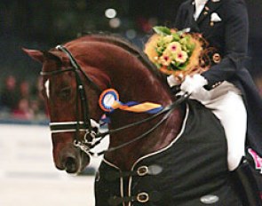 Coby van Baalen and Kigali win at the 2006 Zwolle International Stallion Show :: Photo © Astrid Appels