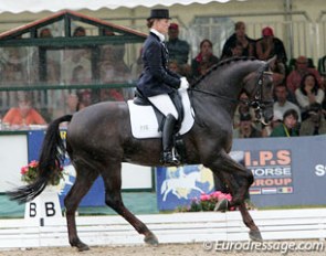 Vontango in the rain at the 2008 World Championships for Young Dressage Horses