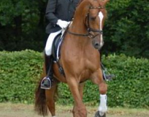 Matthias Bouten on Krack 4 (by Krack C): A lovely horse with much impulsion who will need time to grow into his frame.