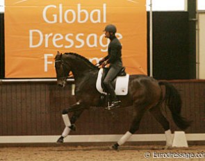 Steffen Peters on the 3-year old mare TC Beau Deux (by Ravel x Gouverneur)