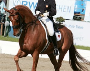 Catherine Haddad and Maximus at the 2009 CDI Hagen :: Photo © Astrid Appels