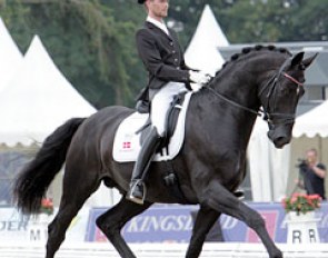 Thomas Lassen and UNO Don Diego at the 2009 World Young Horse Championships :: Photo © Astrid Appels