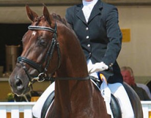 Skovens Rafael at the 2009 World Young Horse Championships :: Photo © Ridehesten