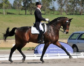 Brett Parbery and Victory Salute take an early lead in the 2009 Australian Dressage Championships :: Photo © Franz Venhaus