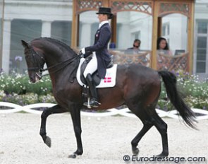 Florida based Dane Mikala Gundersen shipped Horses Unlimited's Leonberg to Europe in an attempt to qualify for the Danish team for WEG. After Aachen they will compete in the Danish Dressage Championships in Broholm.