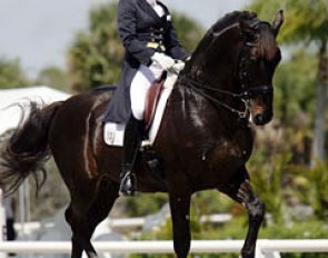 Tina Konyot on Calecto V at the 2010 Palm Beach Dressage Derby :: Photo © Mary Phelps