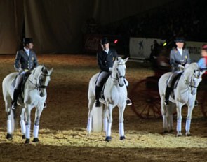 The stars of Spanish dressage -- Norte, Fuego and G Nidium -- at the 2010 SICAB in Seville
