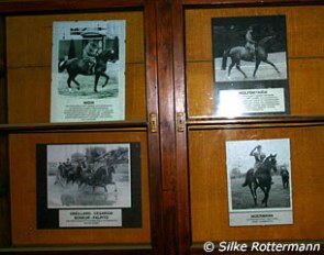 Photos of Chammartin's international dressage horses glued a wooden cupboard in the corridor of an EMPFA building