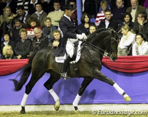Markus Gribbe on Farewell III at the 2010 Oldenburg Stallion Show in Vechta :: Photo © Astrid Appels