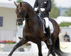 Theo Hanzon on Zhivago (by Krack C out of Orendy (by Jazz x Ulft)) at the 2010 World Young Horse Championships :: Photo © Dirk Caremans