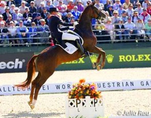 Capriole out of the blue: Hans Peter Minderhoud and Nadine in the Grand Prix Special at the 2010 WEG :: Photo © Julia Rau