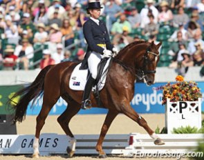 Rachael Sanna on Jaybee Alabaster at the 2010 World Equestrian Games :: Photo © Astrid Appels